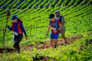 BIB: 
                            <button type="button" onclick="openModal(19161513)" class="btn btn-primary btn-sm float-right btn-popup" data-toggle="modal" data-target=".modal-high-quality">
                        <i class="fas fa-shopping-cart"></i> Add to Cart
                    </button>
                                            <button type="button" onclick="isThisMe(19161513, true)" class="btn btn-success btn-sm float-right btn-popup btn-isme hidden" data-toggle="tooltip" data-placement="bottom" title="นี่คือรูปของคุณใช่ไหม คลิกที่นี่เพื่อเอาเข้าอัลบั้ม">
                        <i class="fas fa-plus"></i> Add to album
                    </button>
                    <button type="button" onclick="isThisMe(19161513, false)" class="btn btn-warning btn-sm float-right btn-popup btn-isnotme hidden">
                        <i class="fas fa-ban"></i> Remove from album
                    </button>